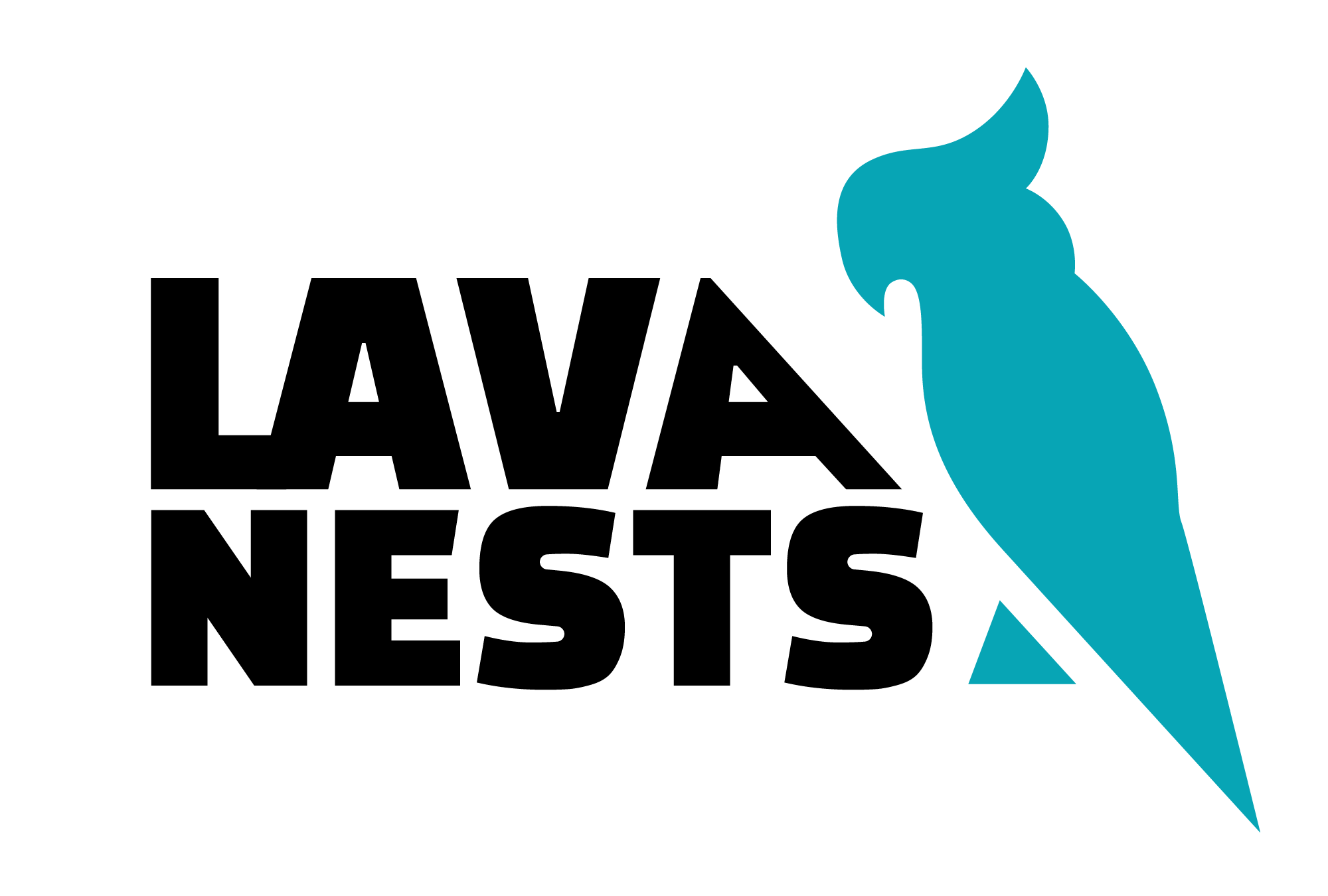 dark logo